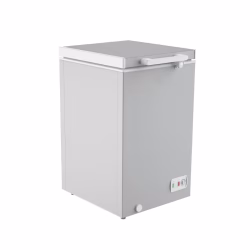 SINGER Chest Freezer 99 Ltr 115 GY Silver 2