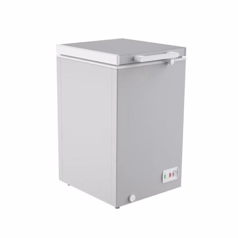 SINGER Chest Freezer 99 Ltr 115 GY Silver 2