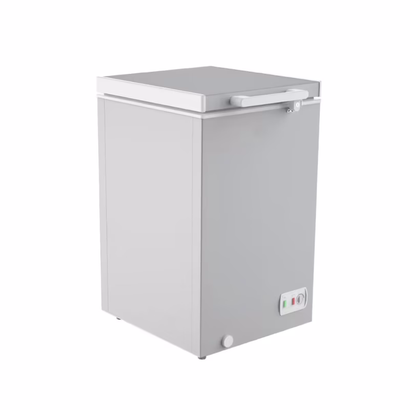 SINGER Chest Freezer 99 Ltr 115 GY Silver 2